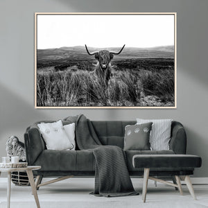 Black and White Highland Cow Canvas Wall Art, Longhorn