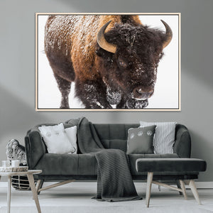 Bison Wall Art Canvas Print For Farmhouse, Wild Animal Wall