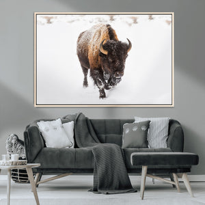 Bison Winter Wall Art Canvas Print For Farmhouse Decor