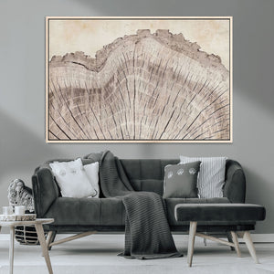 Tree Ring Wall Art Triptych, Rustic Wood Ring Canvas Print,