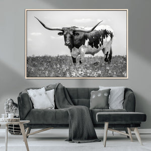 Texas Black White Highland Longhorn Cow Wall Art Canvas