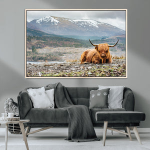 Highland Cow Horn Farm Wall Art Canvas Print