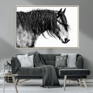 Majestic Horse Wall Art – Framed Black White Portrait Canvas