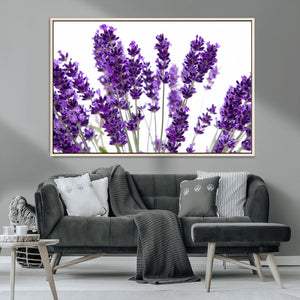 Lavender Flower Wall Art Canvas Print