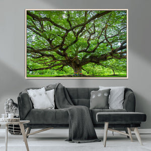 Angel Oak Tree Wall Art Canvas Print – Framed Majestic