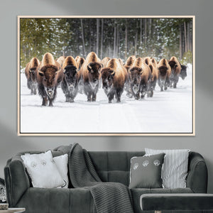 American Bison Herd Wall Art Canvas Print – Powerful Winter
