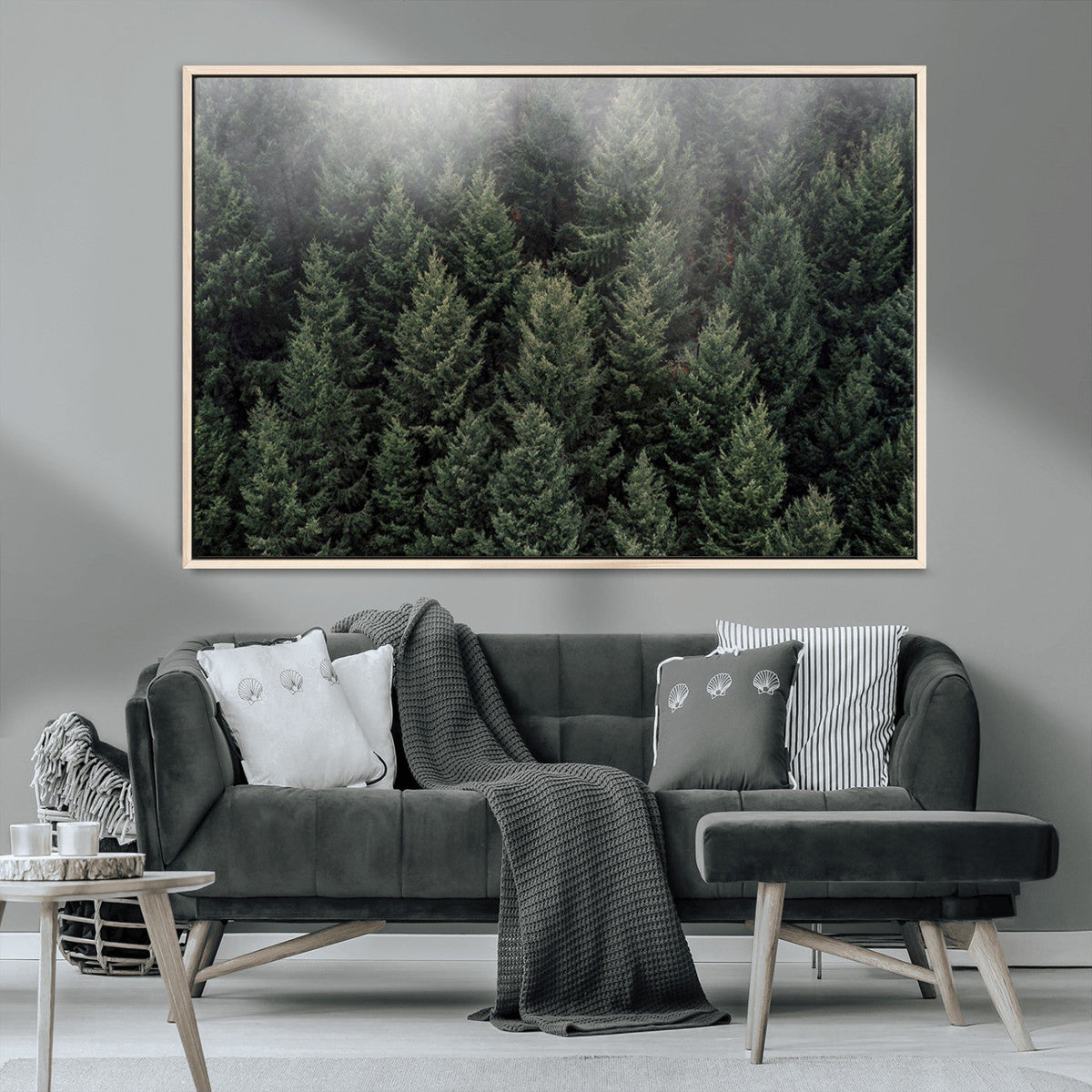 Dense Evergreen Forest Misty Morning Fog Pine Trees Woodland