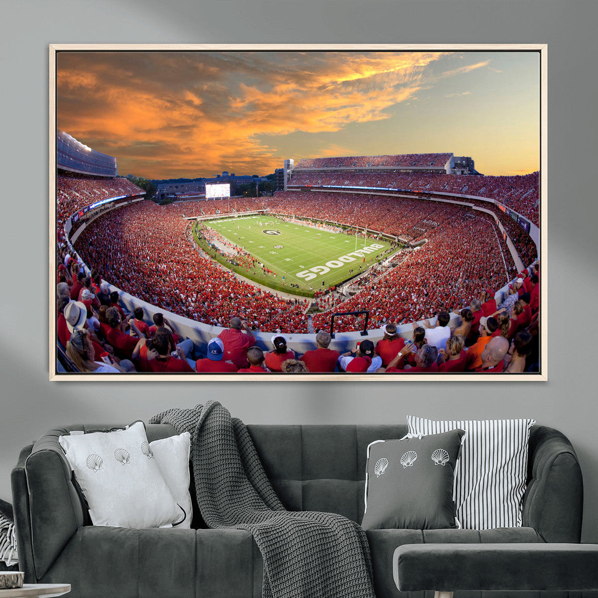 Dooley Stadium Wall Art, Sports Arena Canvas Print, Dooley