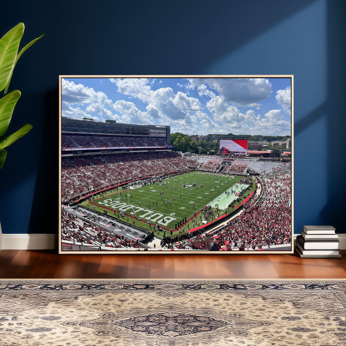 Georgia Bulldogs Stadium Wall Art Canvas Print, Sanford