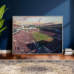 Donald W. Reynolds Razorback Stadium Wall Art Canvas Print –