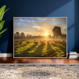 Sheep Wall Art Canvas Print – Rural Farm Animal Artwork