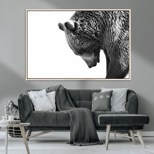 Black and White Grizzly 399 Bear Canvas Print Wall Art |