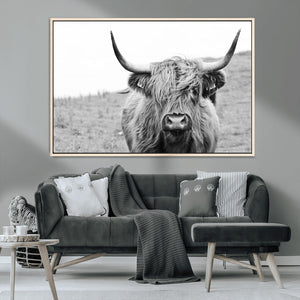 Newfoundland Cow Art Wall Art, Black White Cow Art Wall Art
