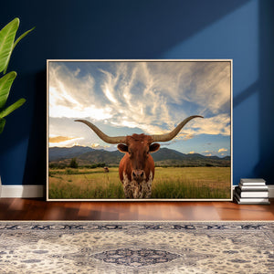 Texas Longhorn Canvas Wall Art – Majestic Triptych Animal