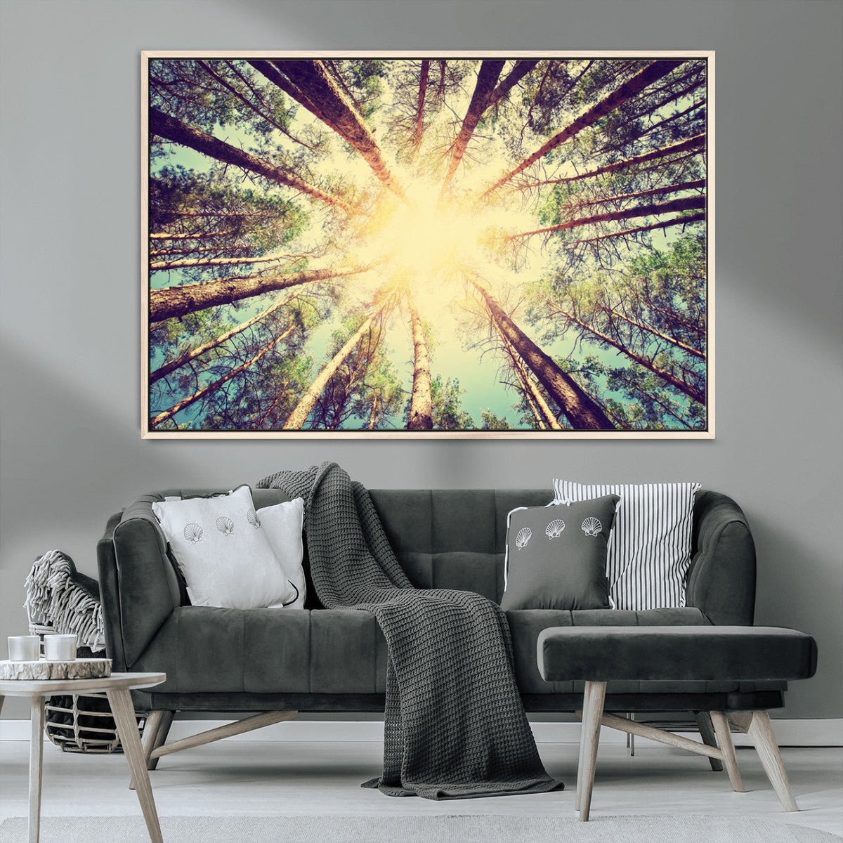 Tree and Sunshine Canvas Print