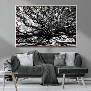 Mighty Angel Oak Wall Art | Angel Oak Tree Art Print