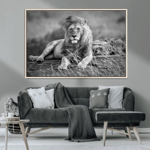 King Forest Lion Wall Art Canvas Print – Framed Majestic