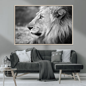 African Lion Wall Art Canvas Print – Majestic Wildlife