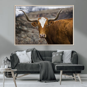 Texas Longhorn Canvas Wall Art - Longhorn Steer Canvas Wall