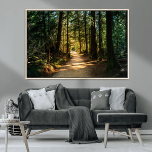 Sunlit Forest Pathway Canvas Print | 3 Panel Large Nature
