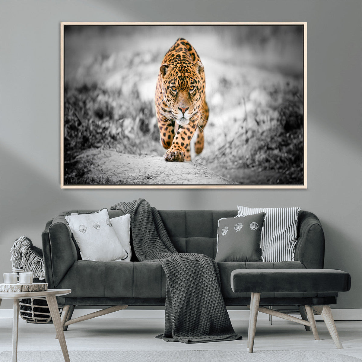 Jaguar Wall Art Canvas Print - Majestic Big Cat in Focused
