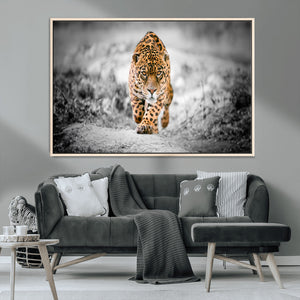 Jaguar Wall Art Canvas Print - Majestic Big Cat in Focused