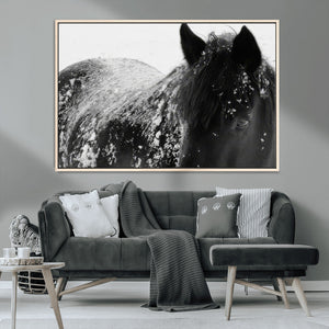 Black Horse in Snow Canvas Print | Winter Horse Wall Art |