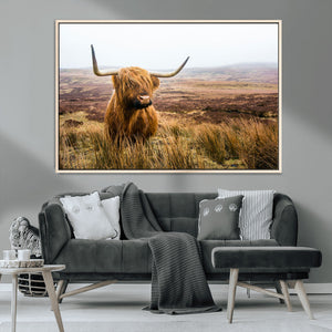Scottish Highland Cow Canvas Wall Art – Rustic Farmhouse