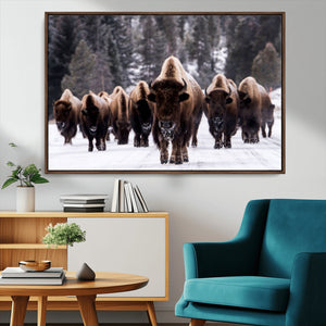 Bison Wall Art Canvas Print- Bison Herd Canvas Wall Art –