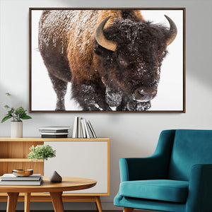Bison Wall Art Canvas Print For Farmhouse, Wild Animal Wall