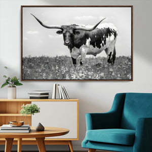Texas Black White Highland Longhorn Cow Wall Art Canvas