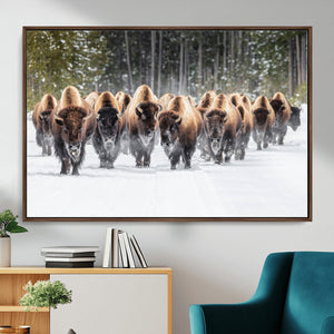 American Bison Herd Wall Art Canvas Print – Powerful Winter