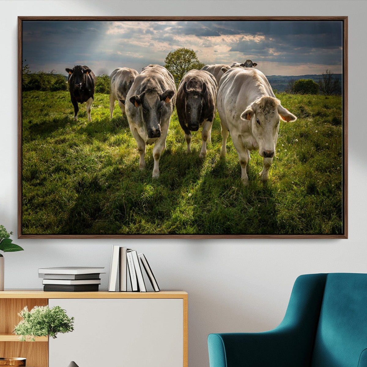 Grazing Cattle Herd Pasture Green Field Livestock Natural