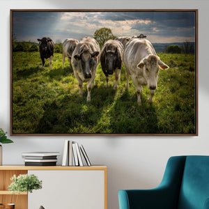 Grazing Cattle Herd Pasture Green Field Livestock Natural