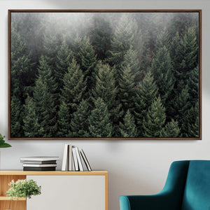 Dense Evergreen Forest Misty Morning Fog Pine Trees Woodland