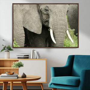 Wild Elephant Wall Art Canvas Print