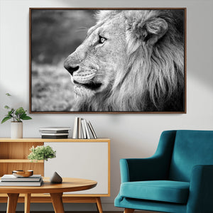 Lion Wall Art Canvas Print – Framed Majestic Wildlife