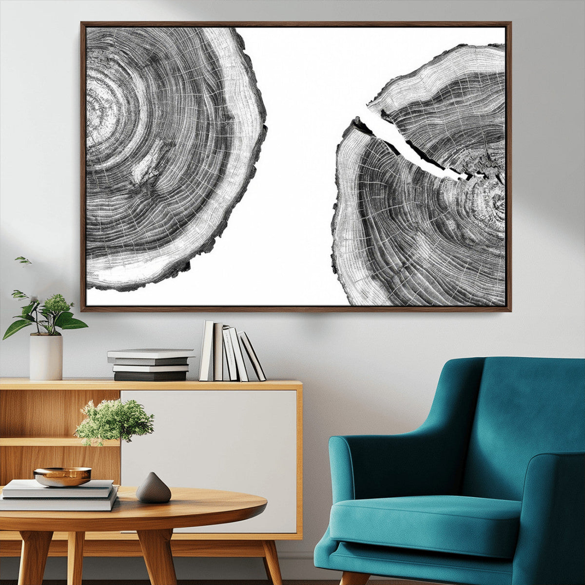 Abstract Large Tree Rings – Minimalist Black and White Wood