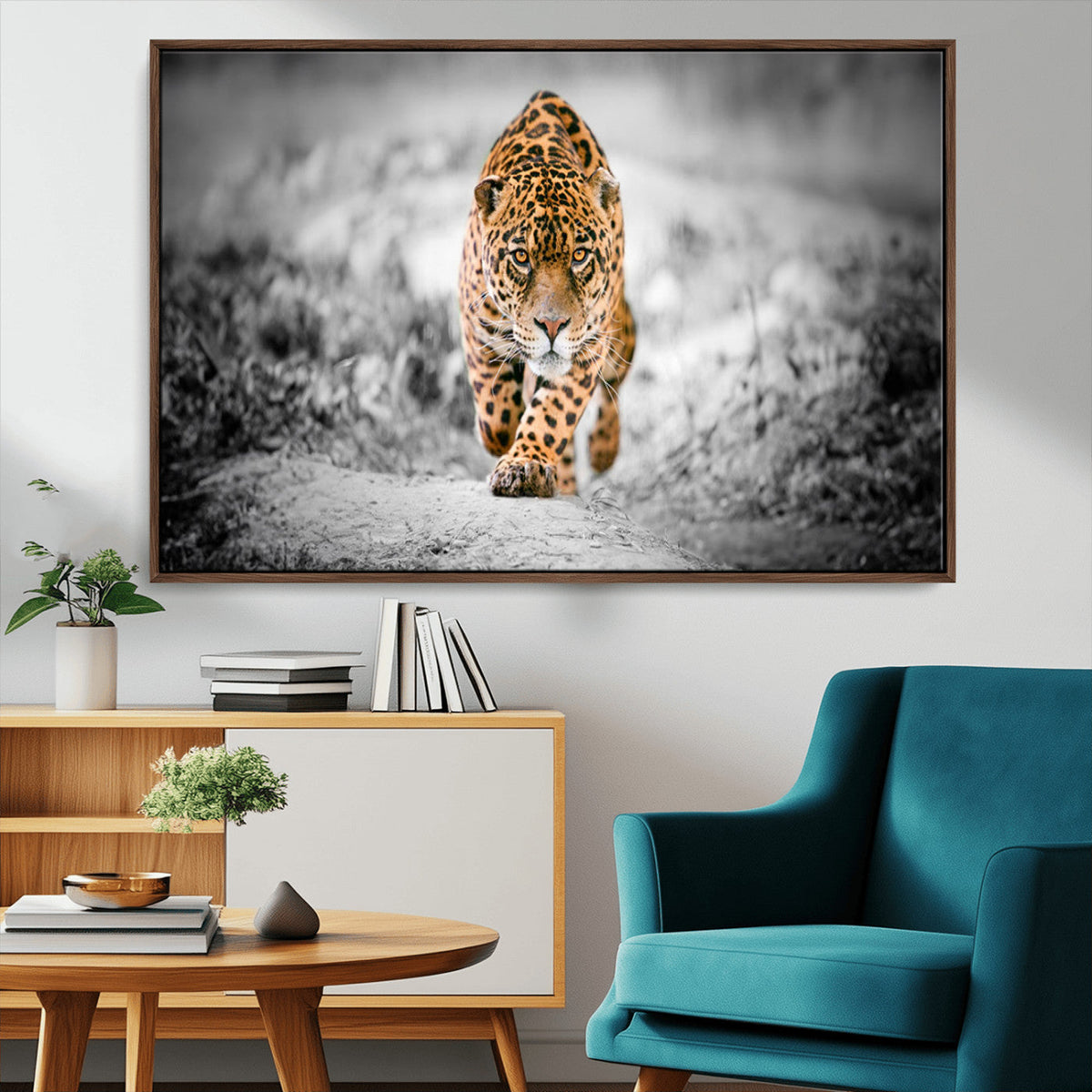 Jaguar Wall Art Canvas Print - Majestic Big Cat in Focused