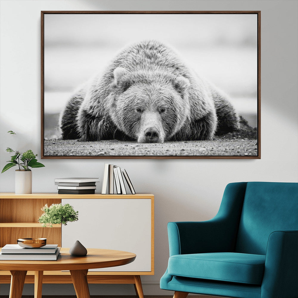 Resting Grizzly Bear Wall Art Canvas Print – Majestic Lazy