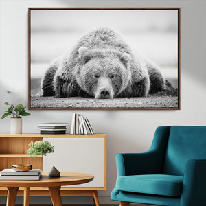 Resting Grizzly Bear Wall Art Canvas Print – Majestic Lazy
