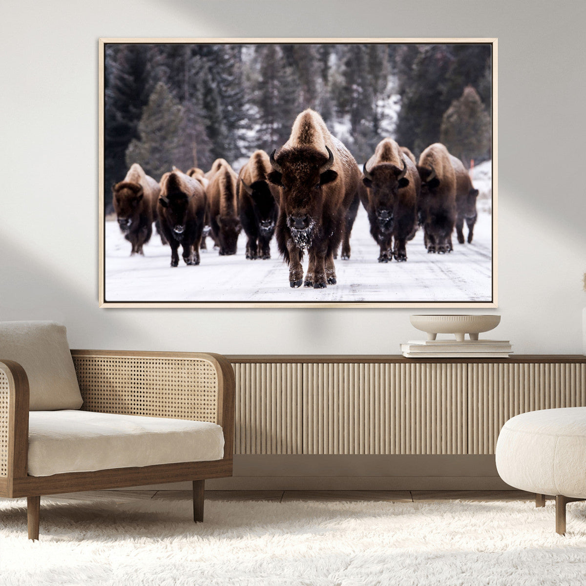 Bison Wall Art Canvas Print- Bison Herd Canvas Wall Art –
