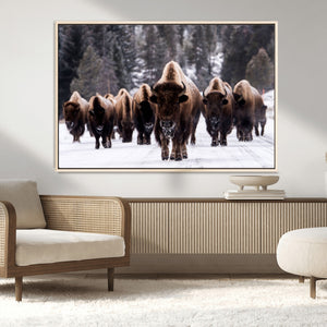 Bison Wall Art Canvas Print- Bison Herd Canvas Wall Art –