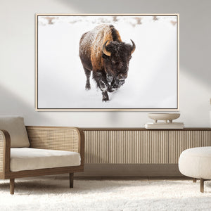 Bison Winter Wall Art Canvas Print For Farmhouse Decor