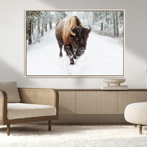 Bison Wall Art Canvas Print For Farmhouse, Animal Canvas