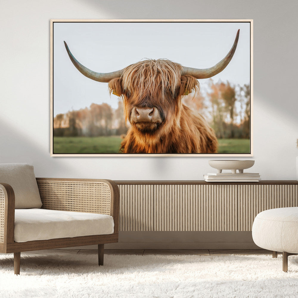 Highland Cow Animal Scottish Cattle Art Print Farmhouse Wall