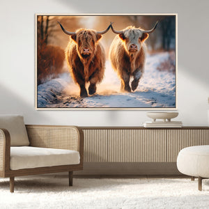 Scottish Highland Cow Horn Farm Wall Art Canvas Print