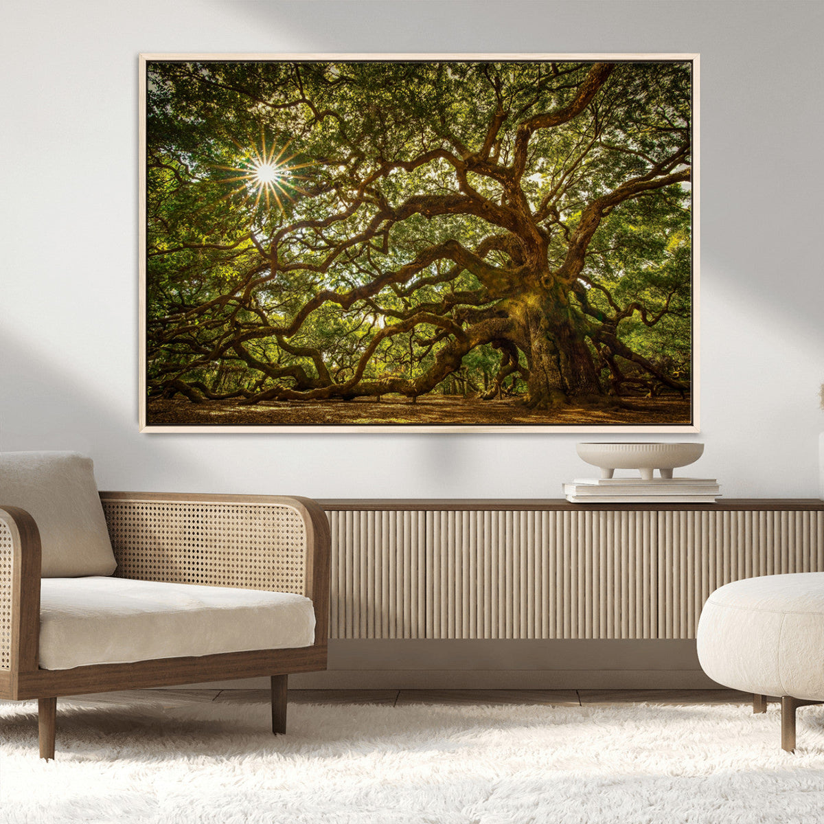 Ancient Angel Oak Tree Art Sunburst Canvas Print-