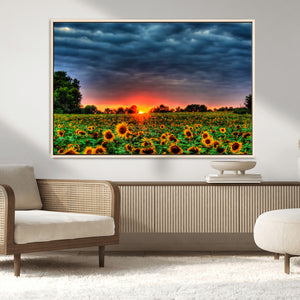 Golden Sunflower Field at Sunset – Breathtaking Sky and