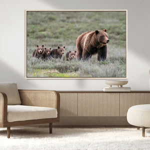 Wildlife Photography of 399 Grizzly Bear Cubs | Queen of the